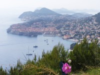 Pohled na Dubrovník ze silnice nad městem