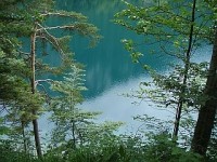 Ledovcové jezero Alpsee přímo pod Neuschwainsteinem....