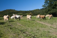 Vlevo bludovské Hradisko