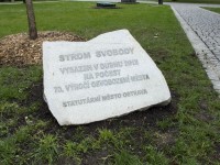 Ostrava – Strom svobody