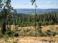 Po kůrovcové těžbě