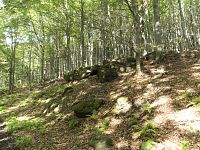 V lese různé skalní výchozy