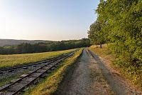 Pozůstatek lesní železnice