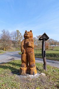 Medvěd u Mladoňova