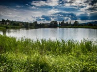 Petrovský rybník