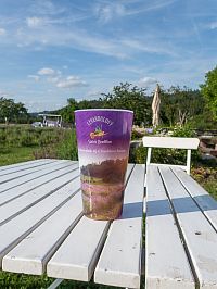 Ale náplň byla běžná