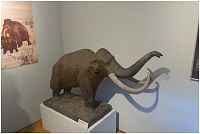 Miniaturní mamut