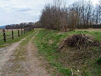 Polní cesta za Habermannovou vilou, tady mohl Starý rybník končit