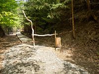 Haťový chodník do zatopené části