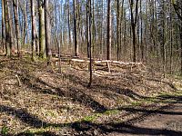 Šumperk, Tulinka – lesní lanové hřiště