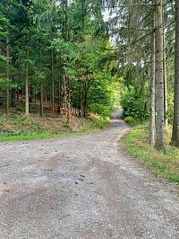 Směr k Červenému kříži