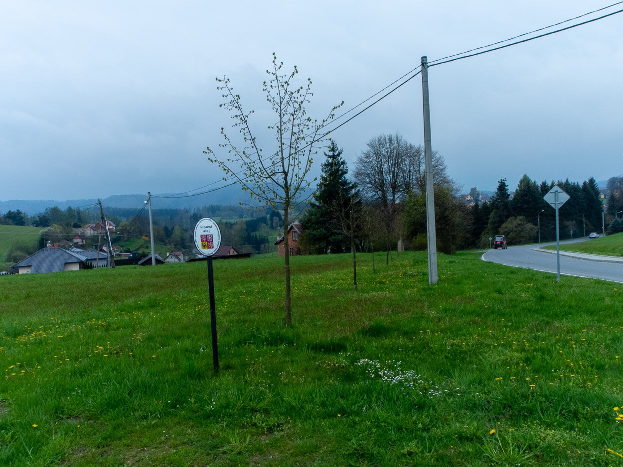 Kosov – Lipová alej