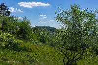 Tabulová (též Stolová) hora