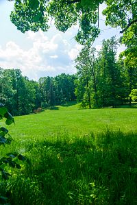 Park volně přechází do okolního lesa