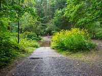 17.8.–21.8. Třeboňsko 25 Pt. 2 (do Staňkova, Chlumu a k Pilaři)