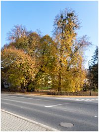 Bludov – zámecký park na státní svátek