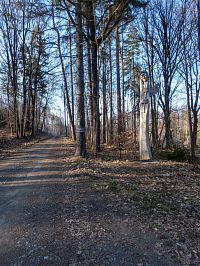 Časně jarní březen 2025