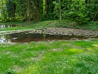 Střední horní jezírko s žabincem