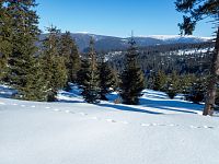 Tedy Praděd a Vysoká hole