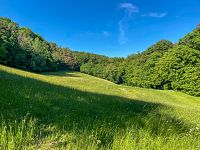 Kosené louky v nižších partiích