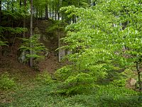 V údolí zbytky dalších lomů