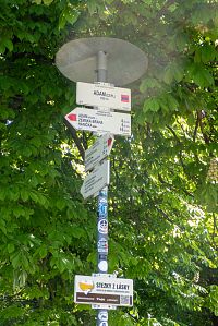 Adam – CZ/PL