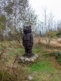 Kdybs nebyl hlupákem, nestal by ses medvědem