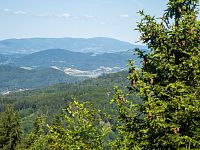 Kraličák detailněji