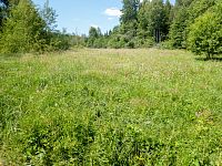 U Slatinného potoka