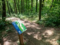 S dráhami discgolfu