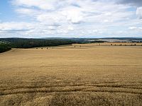 Okolní pole s ješmenem