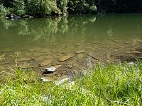 Voda celkem průhledná