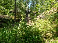 Divoký vrchol rokle