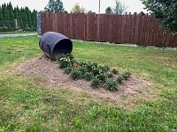 Květinová výzdoba v Sudkově