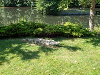 Některé dekorace poněkud kýčovité