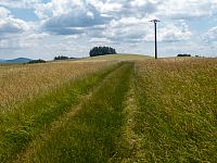 Po polní cestě