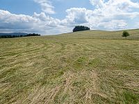 Na samotném Dvorském vrchu je malý remízek