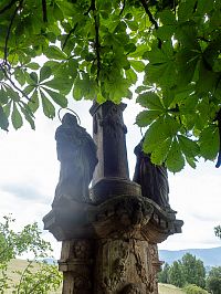 Ten kaštanovník dosti zavazí