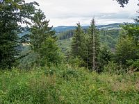 Průhled k Lázku, nejvyššímu kopci Zábřežské vysočiny