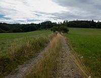 Polní cesta k Lupěnému