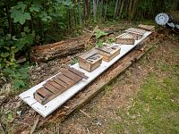 Primitivní hudební nástroje