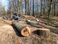 A když se betonovaly základy