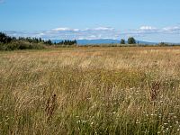 Z plošiny Skalníku je vidět i na Jeseníky