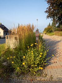 Třešť • Arboretum Střední odborné školy