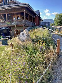 Ještě kvetoucí loučka