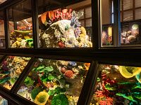 Moře je kolébkou života