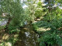 Do Litovelských luhů