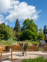 Smrk s čarověníkem