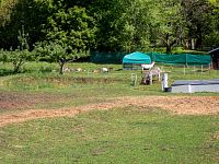 Zvířátka byla v povzdálí kvůli slintavce