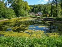 Rybníček u Libišky